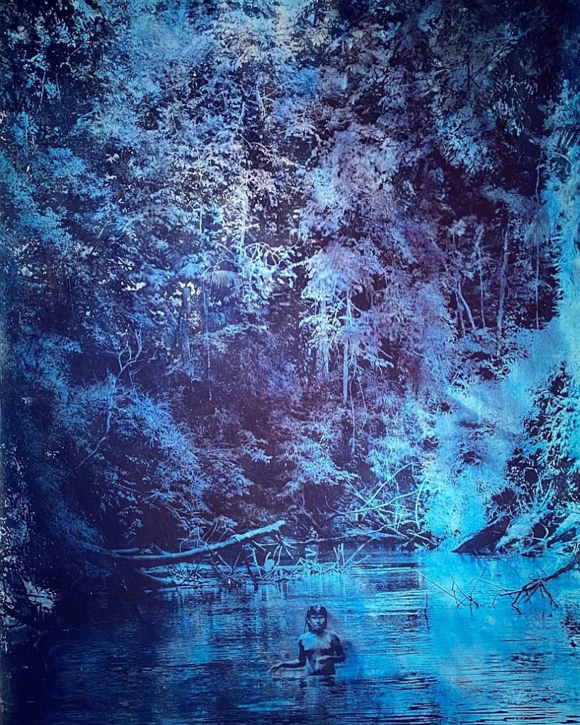 Das aktuelle Bild hat keinen Alternativtext. Der Dateiname ist: urwaldblau.jpg